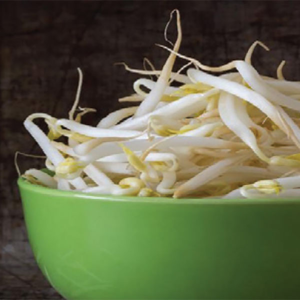 Food Safety Fact Sheet - Bean Sprouts