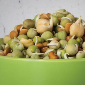 Food Safety Fact Sheet - Mung Beans